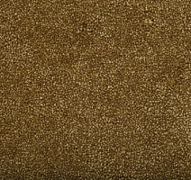 Ковролин Condor Bounty 50 фото 1 | FLOORDEALER